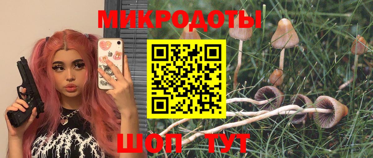 Сарапул  Галлюциногенные грибы мухоморы  Вход с VPN 