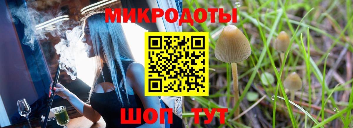 Псилоцибиновые грибы ЛСД Сарапул